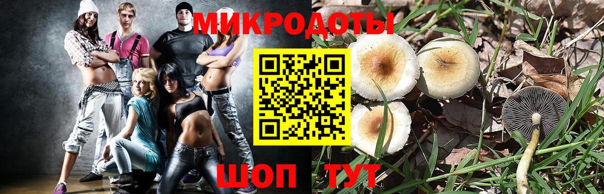 Ханты-Мансийск  Галлюциногенные грибы Psilocybine cubensis  Галлюциногенные грибы мухоморы  Вход с VPN 